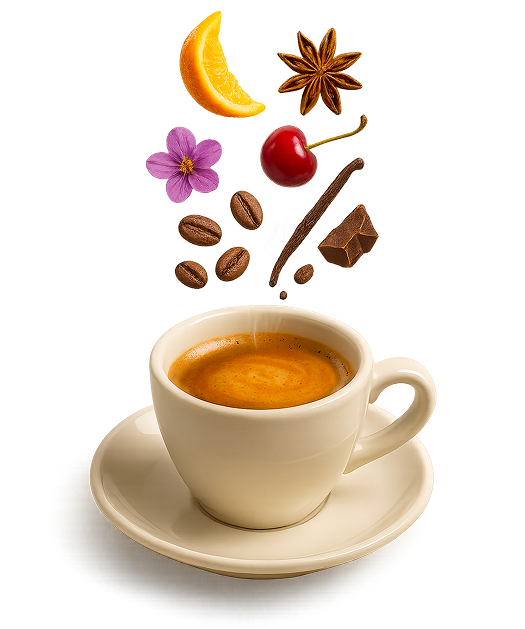 The ritual that changes every single day