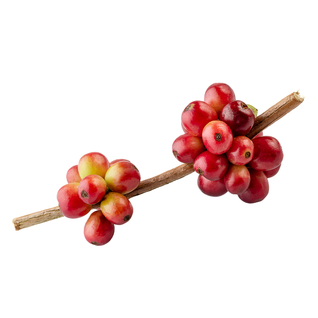 Good for you, for people, and for the planet