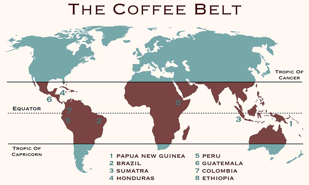 Coffee producing Countries: a guide to the most important terroirs
