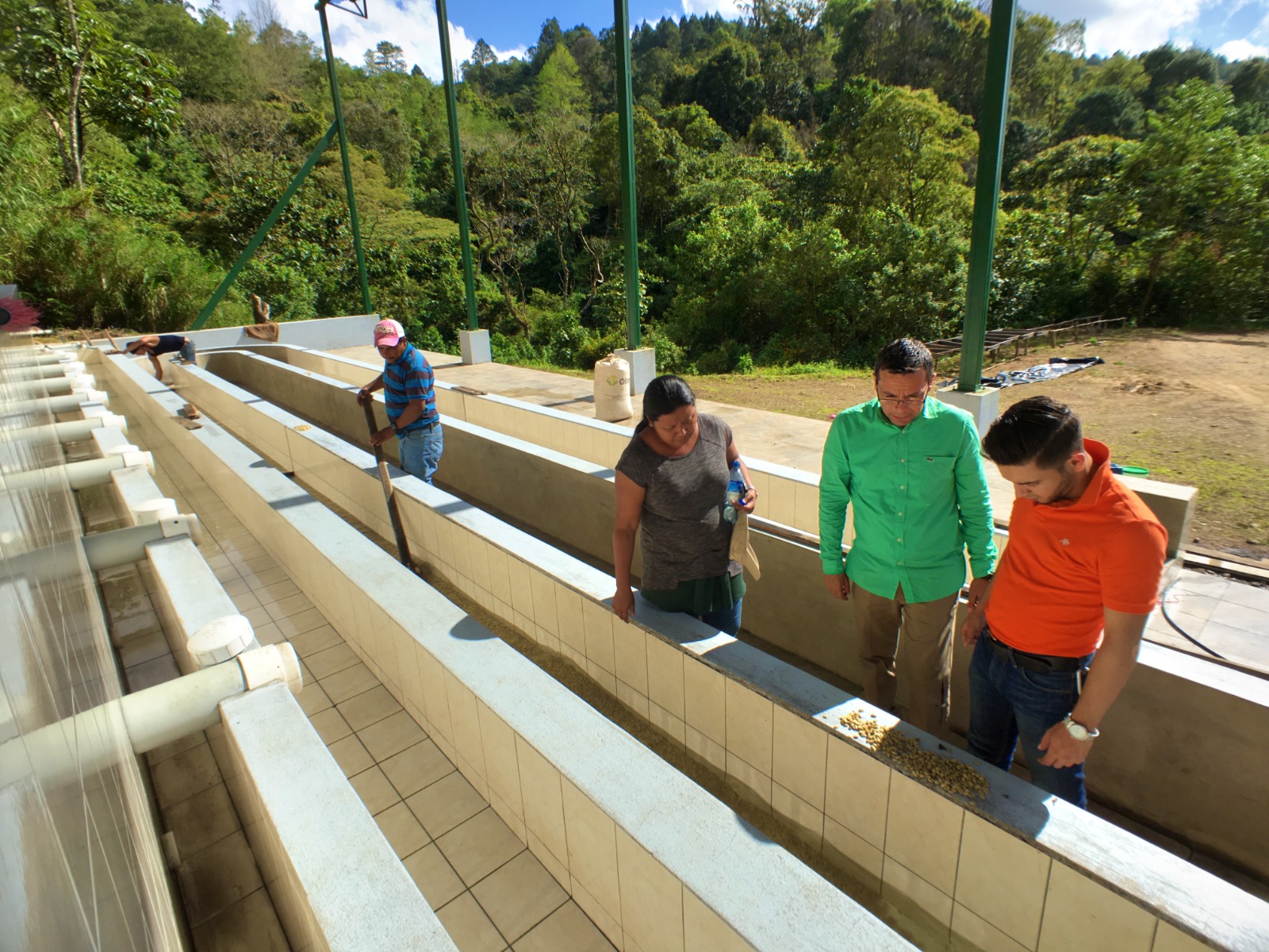 NICARAGUA_Pacamara_la benedicion_4